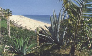 Mit Dialyse Travel  Reisen Sie nach Fuerteventura 